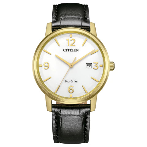 Relógio Citizen Eco Drive - BM6756-01A