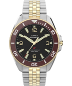 Relógio Timex Deepwater Arctic - TW2Y64700
