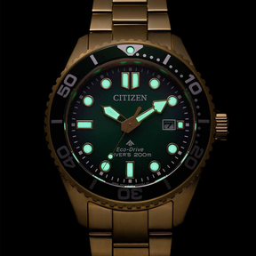 Relógio Citizen Diver´s - BN0262-59W