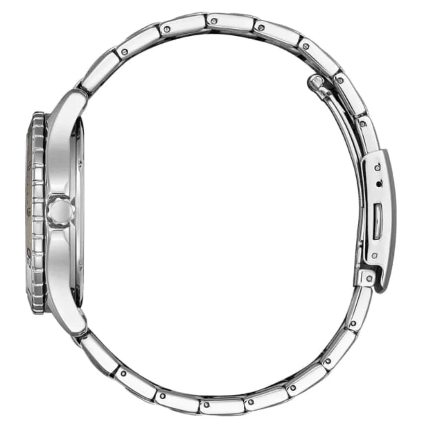 Relógio Citizen Feminino Eco Drive - FE6170-88L